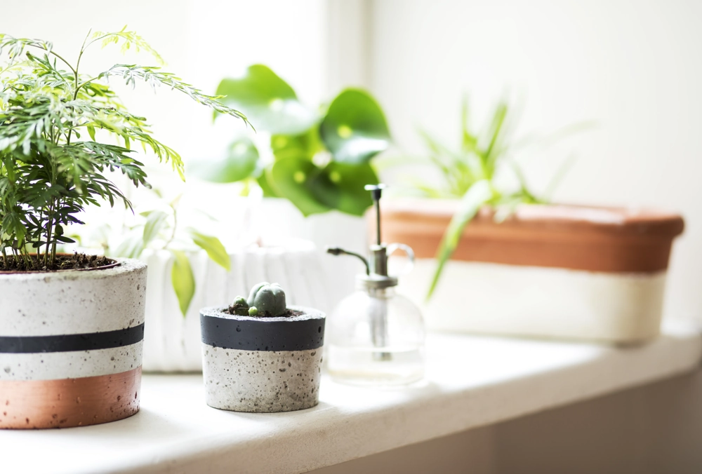 Parapet wewnętrzny z betonowymi doniczkami i zielonymi roślinami