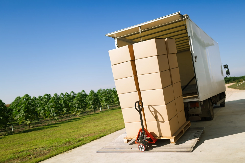 Rozładunek kartonów na palecie przy ciężarówce – systemy przeładunkowe